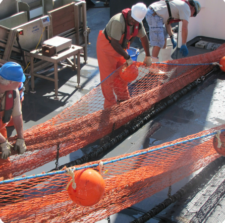 Two For One Twister Main Image